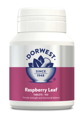 DW - Raspberry Leaf Tablets 200 Tablets - Dorwest