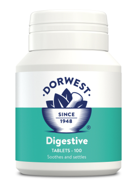 DW - Digestive Tablets 100 Tablets - Dorwest